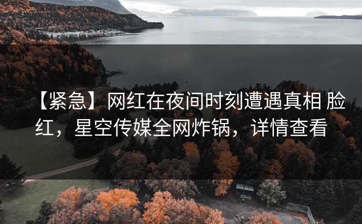 【紧急】网红在夜间时刻遭遇真相 脸红，星空传媒全网炸锅，详情查看